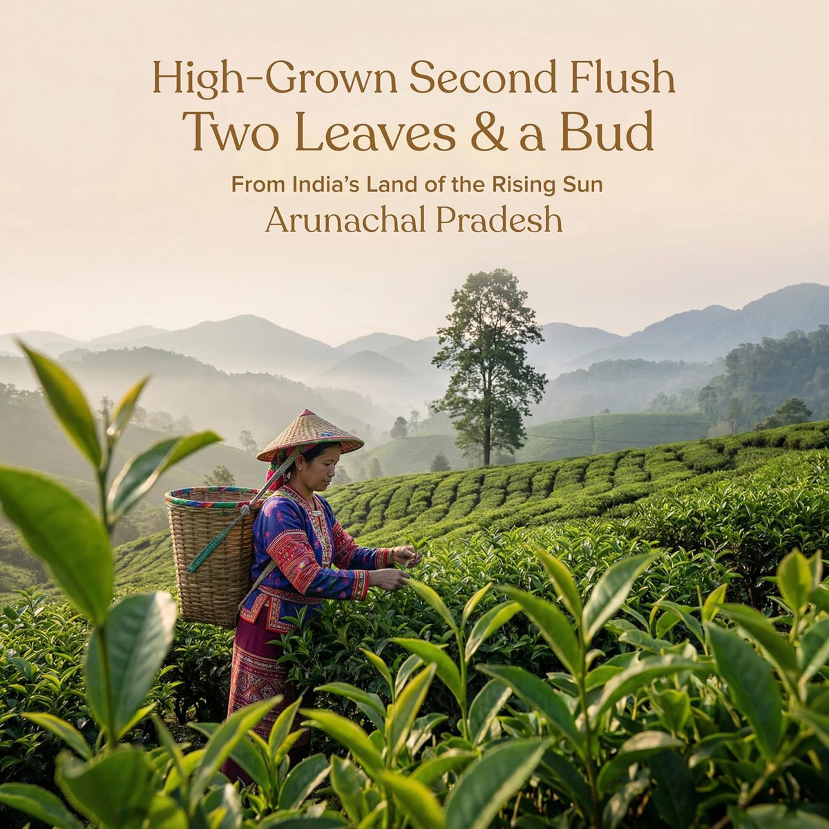 Naturgized Second Flush Gold Tea (250 g)