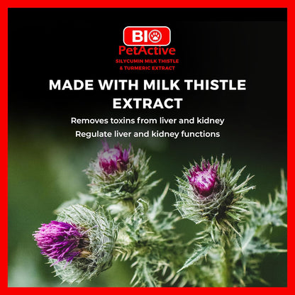 Bio PetActive Silycumin 1,5 g 45 Tablets Milk Thistle & Turmeric Extract Silymarin Curcumin Kidney & Liver Support Suitable for Large Breed Dogs
