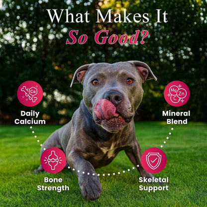 Petroyale Calcium Chews for Dogs - Calcium Supplement for Dogs with Multivitamins - Dog Calcium Tablets for Strong Bones, Joints & Teeth - Calcium for Dog Soft Chew - 50 Chewable Soft Chews