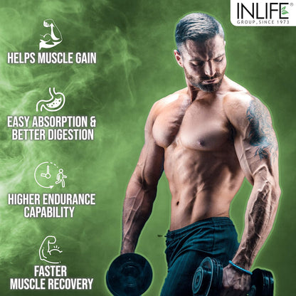 INLIFE Muscle Mass Gainer With Whey Protein Powder Body Building Supplement (Chocolate 1kg)