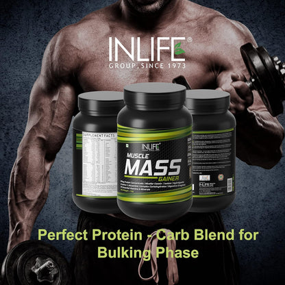 INLIFE Muscle Mass Gainer With Whey Protein Powder Body Building Supplement (Chocolate 1kg)