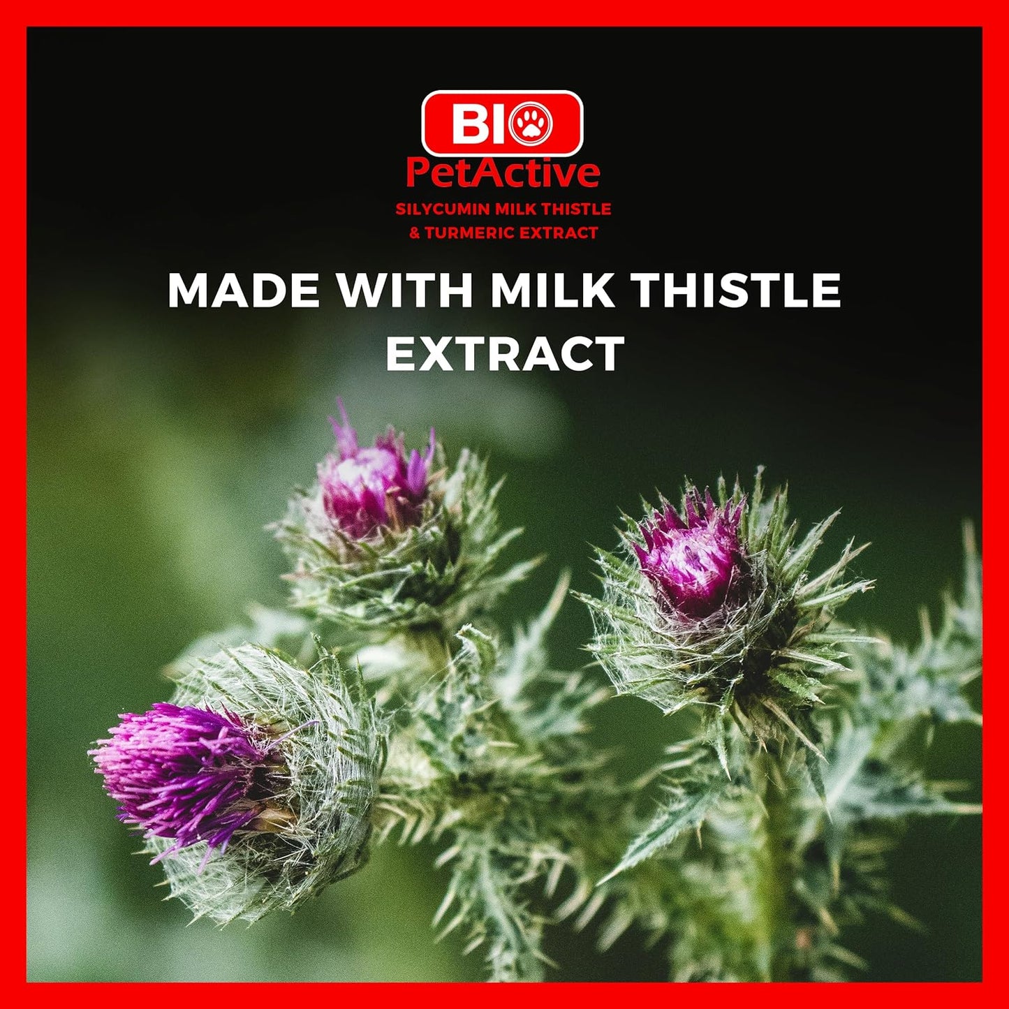 Bio PetActive Silycumin 1,5 g 50 Tablets Milk Thistle & Turmeric Extract Silymarin Curcumin Kidney & Liver Support Suitable for Large Breed Dogs