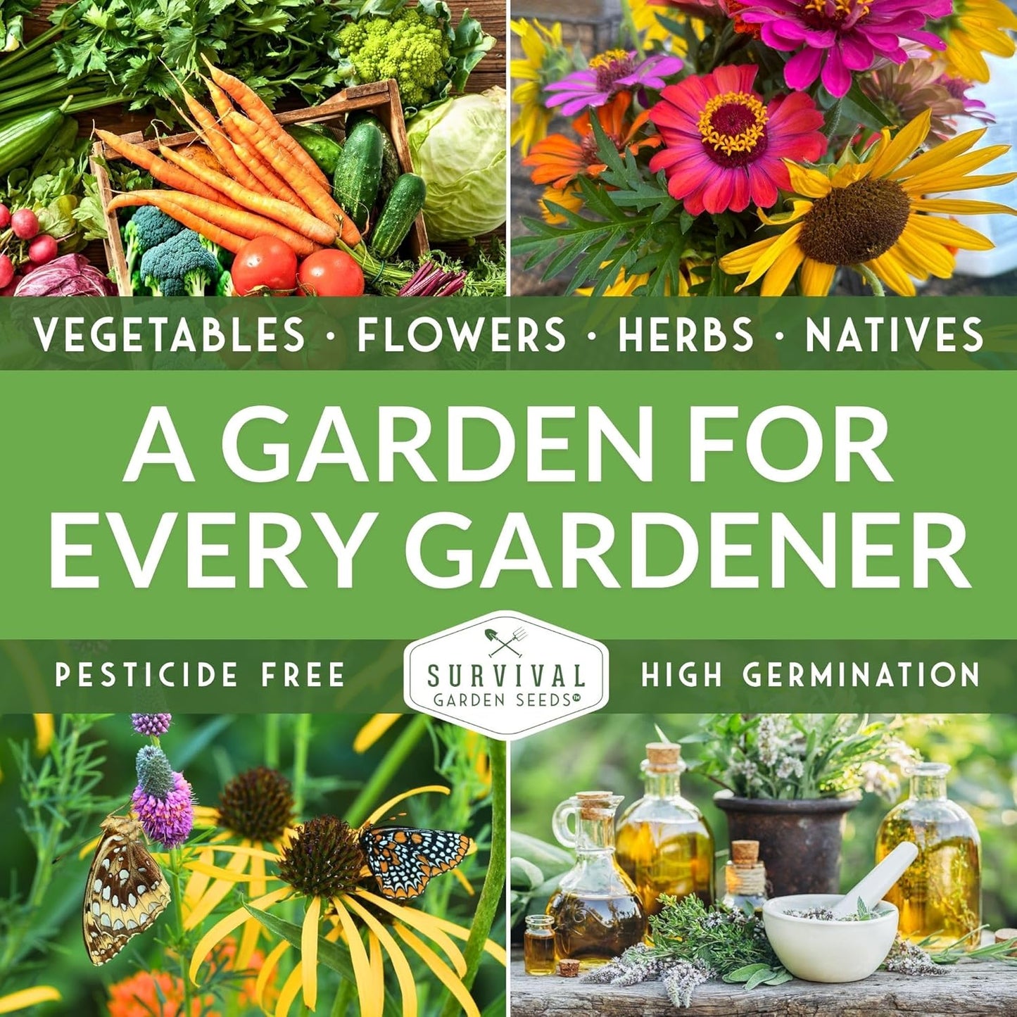 SURVIVAL GARDEN SEEDS 50+ SEEDS- Chocolate Cherry Sunflower Seed for Planting - Non-GMO Heirloom Variety