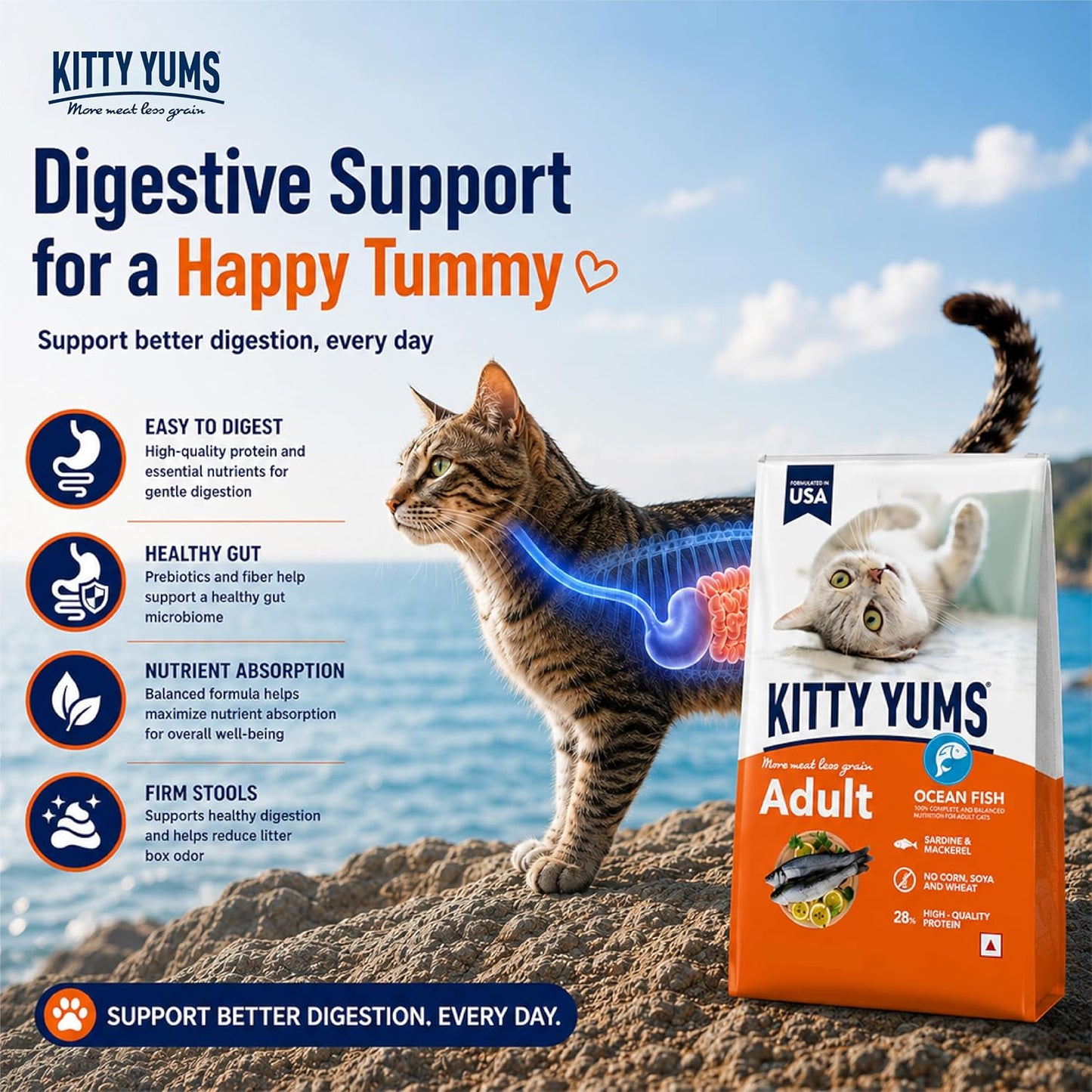Kitty Yums Adult (+1 Year) Dry Cat Food 1.2kg Pack | Ocean Fish Flavour | Develop Strong Bones | Healthy Skin & Coat | Supports Digestive System | Maintains a Healthy Heart