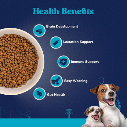 Carniwel Fresh Lamb Starter Dry Dog Food 1 Kg | Natural Ingredients for Easy Weaning | GMO-Free | Highly Palatable | Immune & Lactation Support | Premium Nutrition | Tailored for Small Dogs