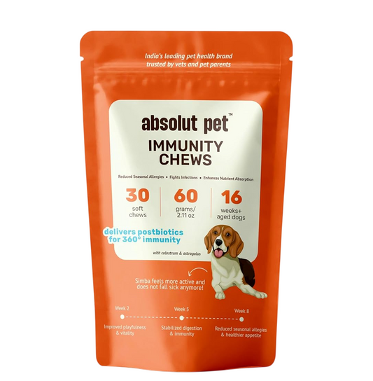 Absolut Pet Postbiotic Immunity Dog Chews, Allergy & Recovery | 30 Chews | Postbiotic chews that strengthen immunity, reduce allergies, aid recovery & improve nutrient absorption in dogs.