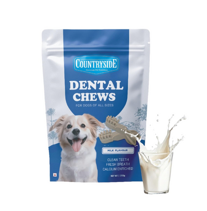 COUNTRYSIDE Dog Dental Chews Treats 250g – Milk Flavor | Brush-Shaped Chews for Dogs, Oral & Gum Care for Dogs | Fights Plaque & Tartar | Freshens Breath | Calcium Enriched & Gluten Free