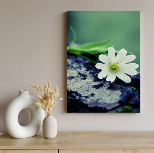Printed Framed Canvas Painting for Home Decor Office Wall Studio Wall Living Room Decoration (10x14inch Wrapped) - White Single Flower