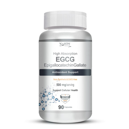 Supplement bottle labeled 'High Absorption EGCG' on a white background