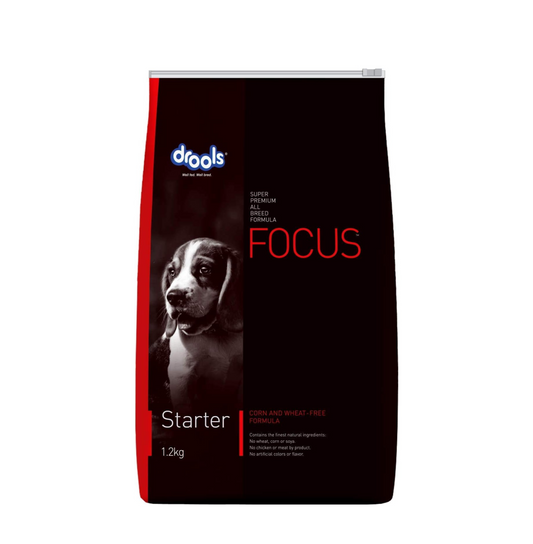 Drools Focus Starter Super Premium Dry Dog Food 1.2kg Pack | Chicken Flavour | Brain Development | Antioxidants like Vitamin E & C | Energy and Essential Nutrients