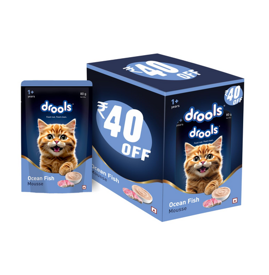 Drools Adult Cat Wet Mousse 80g Pack of 5, 400g | Ocean Fish Flavour | Rich in Protein, Hydrating & Easy to Digest | No Artificial Flavours | with Essential Vitamins & Antioxidants