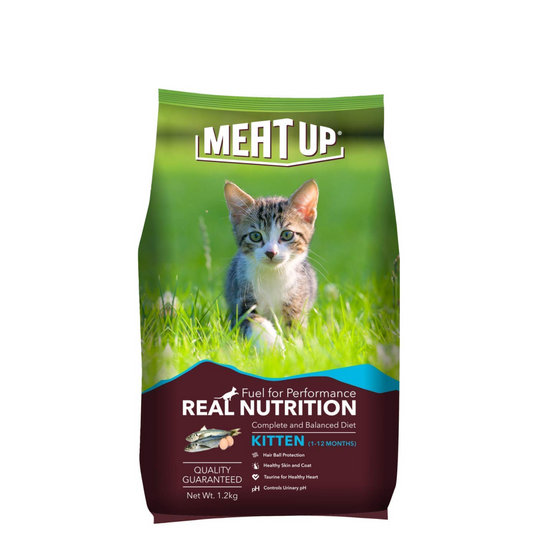 Meat Up Kitten Dry Cat Food (Up to 12 Months) 1.2kg Pack | Ocean Fish Flavour | Complete Nutrition | Taurine for Heart
