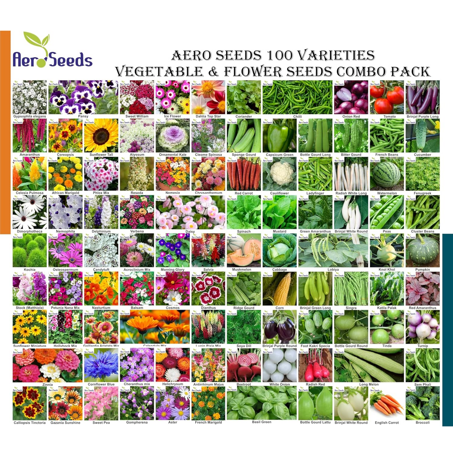 Aero Seeds 100 varieties (50 flower and 50 vegetable) seeds combo pack with instruction manual.