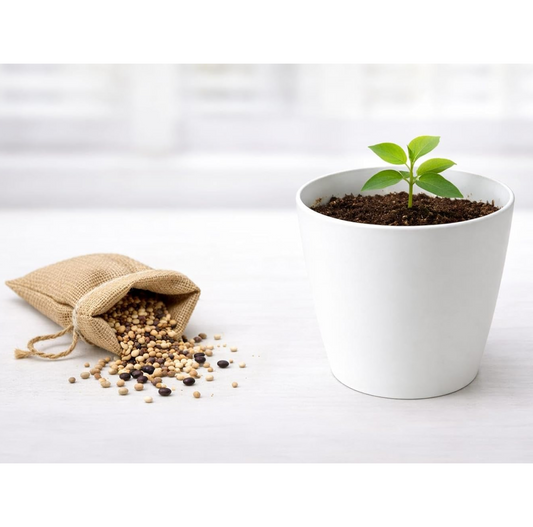 SAUDEEP INDIA Ganesh Idol Visarjan Puja Mystery Seed Kit for Home Decor | 10cm Plant Pot with Surprise Blessing Seeds for Clay Ganpati Mitti Use | Spiritual Grow Kit for Ganesh Chaturthi Ritual Decor