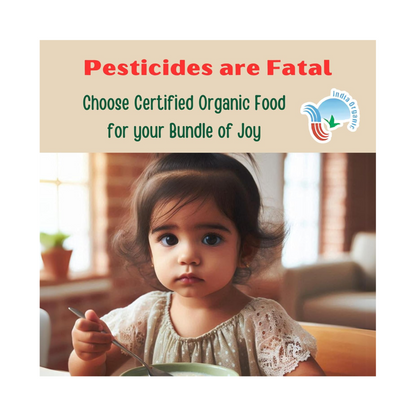 TummyFriendly Foods Certified Organic Sprouted Ragi Flour For Little Ones. Made of Organic Sprouted Ragi Powder , Baby Cereal for 6-12 months. Shelf Life 6 Month | 200g