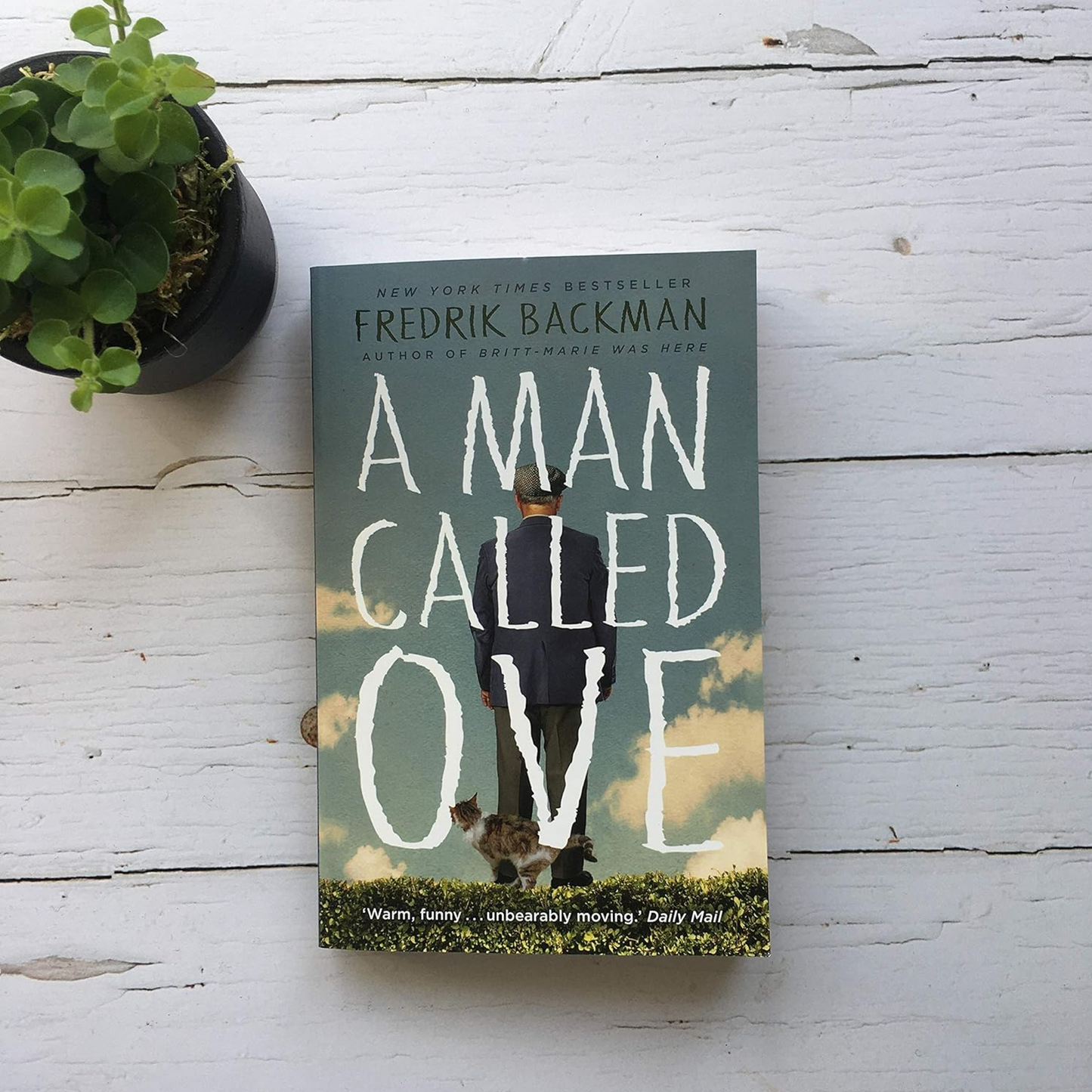 A MAN CALLED OVE (B FORMAT) [Paperback] Backman, Fredrik Paperback – Notebook, 7 May 2015